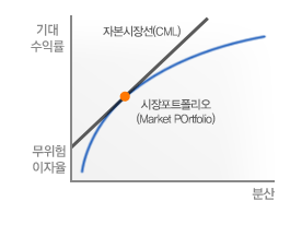 자본자산가격결정이론 그래프